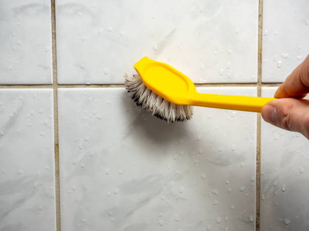 Best Residential Mold Remediation in Benicia, CA