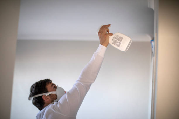 Best Insurance-Related Mold Remediation in Benicia, CA