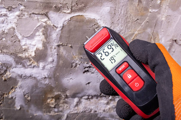 Best Emergency Mold Remediation in Benicia, CA