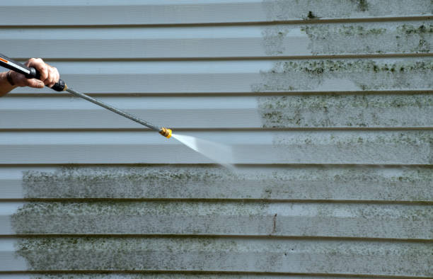 Best Mold Remediation for Specific Building Types in Benicia, CA