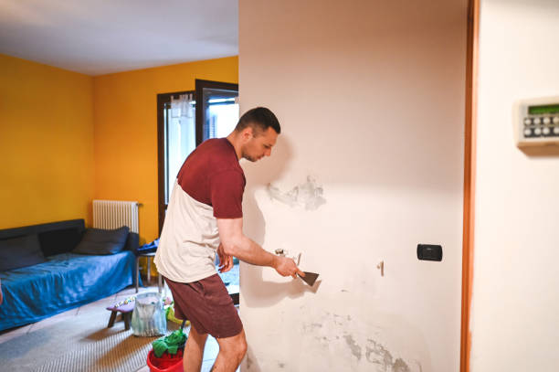 Best Kitchen Mold Remediation in Benicia, CA